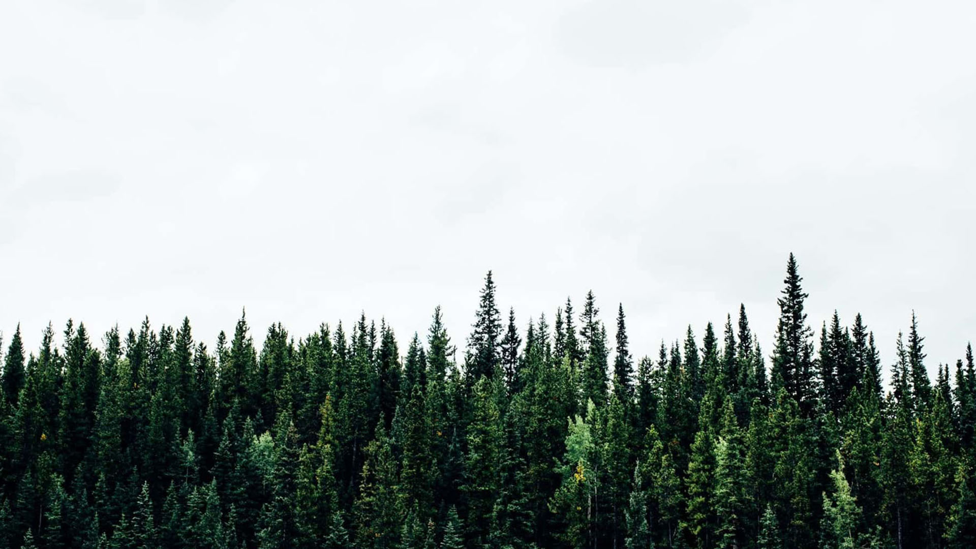 Earthly Case Study Cover Photo
